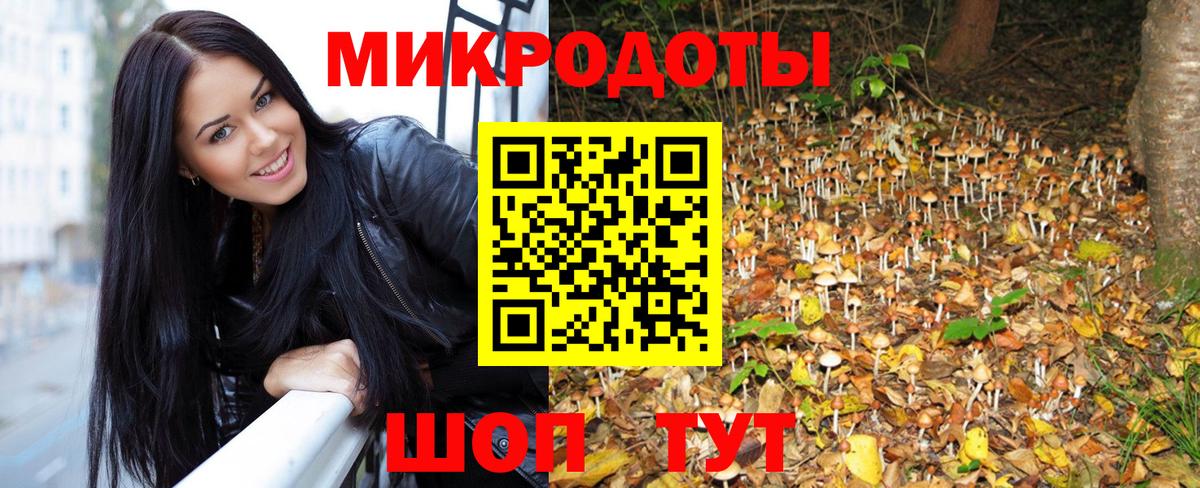 Псилоцибиновые грибы прущие грибы Ульяновск