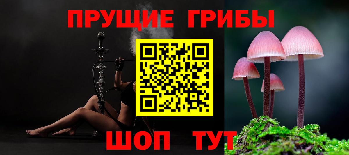 Ульяновск  Псилоцибиновые грибы GOLDEN TEACHER  Вход с VPN 